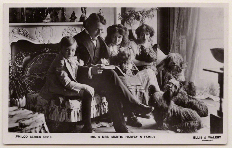 The Martin-Harvey family